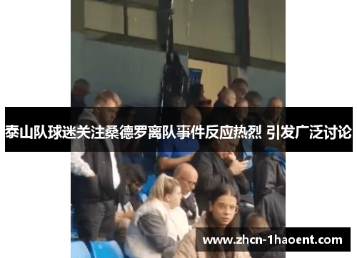 泰山队球迷关注桑德罗离队事件反应热烈 引发广泛讨论 泰山队球迷关注桑德罗离队事件反应热烈 引发广泛讨论