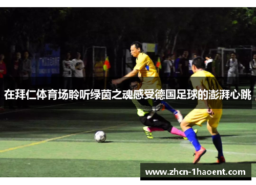 在拜仁体育场聆听绿茵之魂感受德国足球的澎湃心跳 在拜仁体育场聆听绿茵之魂感受德国足球的澎湃心跳