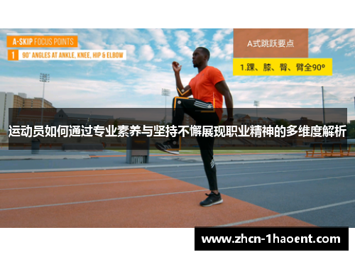 运动员如何通过专业素养与坚持不懈展现职业精神的多维度解析